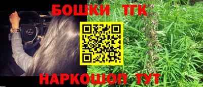 индика Будённовск