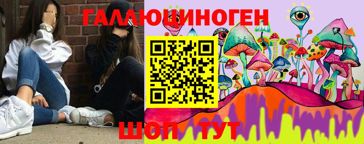 Мирный  Псилоцибиновые грибы мицелий  что такое   Вход с VPN  Галлюциногенные грибы Psilocybe 