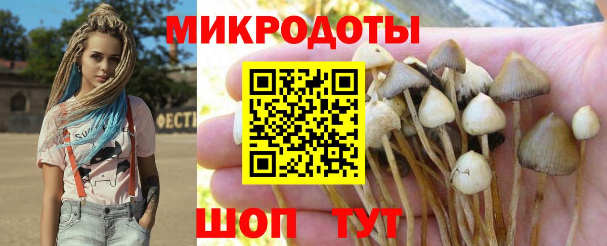 Псилоцибиновые грибы Psilocybine cubensis Мирный