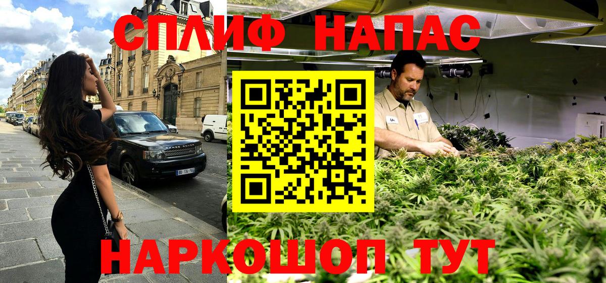 Конопля White Widow  Вход с VPN  Конопля сатива  Мирный  Канабис VHQ  Канабис планчик 